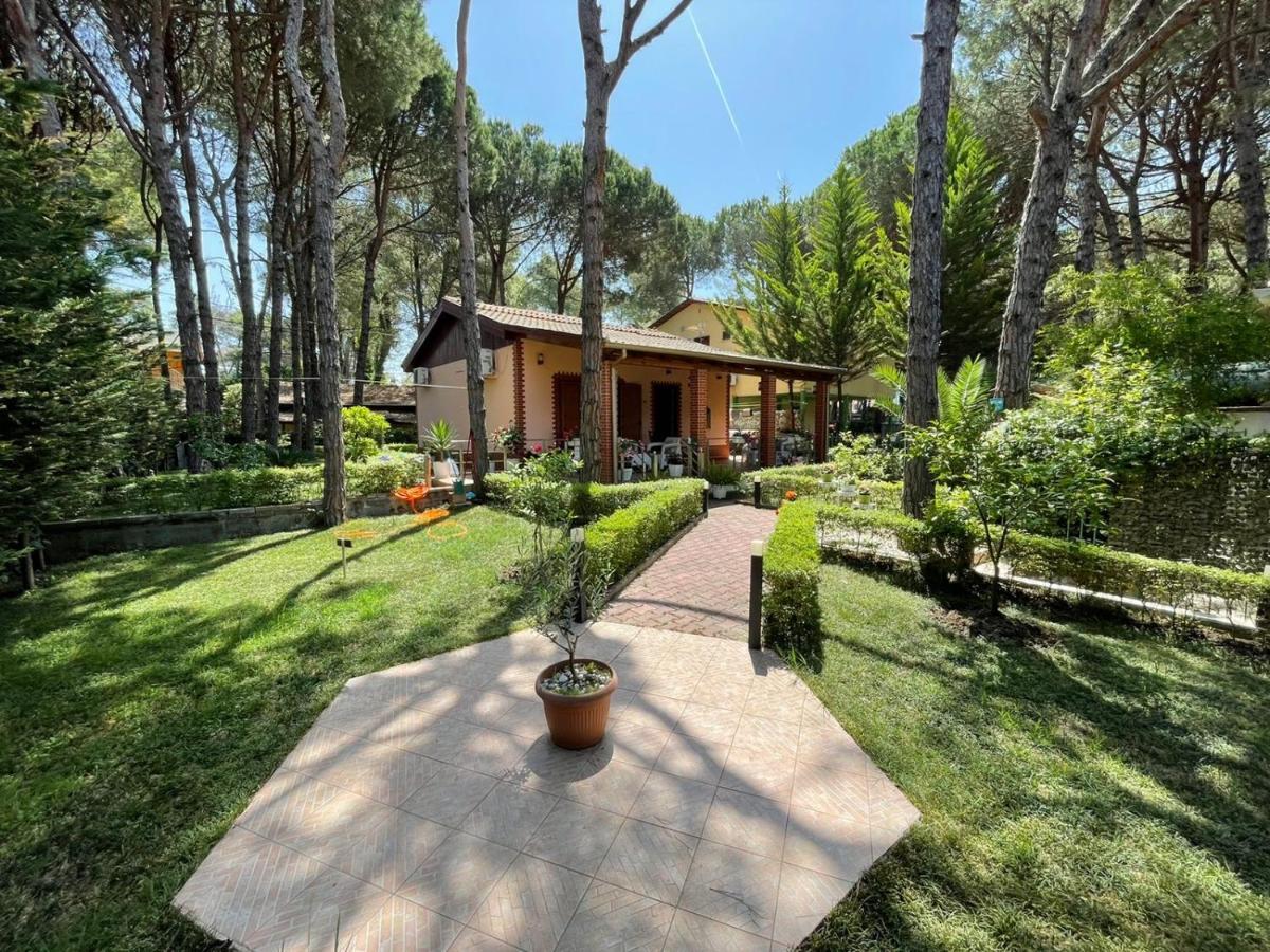 With A Beautiful Garden *